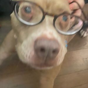 Meet your Posher, Sam